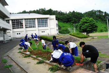 環境委員会による花壇の草取り作業