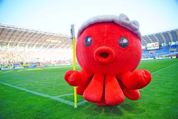 オクトパス君写真