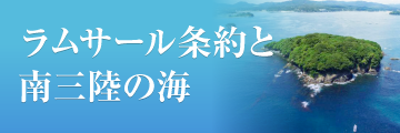 ラムサール条約と南三陸の海