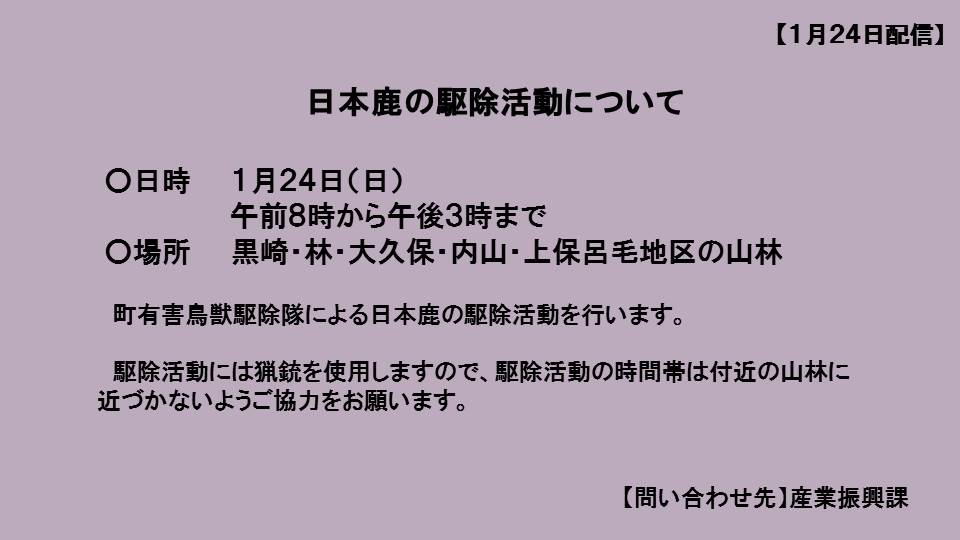 日本鹿の駆除活動について