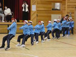 体育館で青い体操服を着用した小学生たちが、紅白帽をかぶり、綱引きで力を合わせて綱を引いている様子の写真