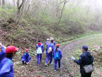 少し霧が出ている山道を歩いているジャージ姿の生徒たちを後方から写した写真