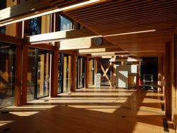 床、柱、壁、天井などに木材が使用され、壁一面の大きな窓から外の光が館内に差し込んでいる第一研修室の広いスペース全室の写真