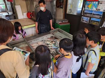 冷蔵ケースに並べられたたくさんの魚の周りを囲んで説明を聞いている児童たちの写真