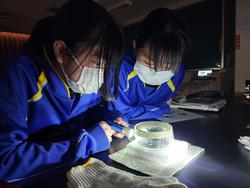 照明を落とした室内で、マスクを着用した2人の女子生徒が、ライトとルーペを使い熱心に目の前の物を観察している写真