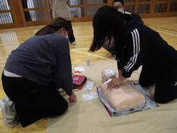 体育館の床で、2人の女性が心肺蘇生訓練用の人形を使って胸骨圧迫を行っている救命講習会の様子の写真