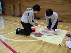 体育館の床で、マスクを着けた女性が見守る横で、マスクをつけた男性が心肺蘇生訓練用の人形を使って胸骨圧迫を行っている救命講習会の様子の写真