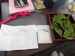 机の上に観察記録のノートや封筒、木の箱に入った緑の葉が並べられている写真