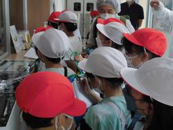 赤と白の帽子をかぶった子どもたちが、マスクを着けて工場を窓越しに見学しながら、説明を受け、熱心にノートへ書き込んでいる様子の写真