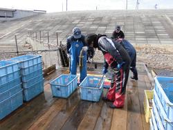 斜めに傾斜したコンクリートの構造物の手前で、複数の防水作業服を着た人が青いコンテナを扱い、作業している様子の写真