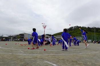 赤組の子供達が赤い球を赤いカゴに向かって一生懸命投げている玉入れの様子の写真