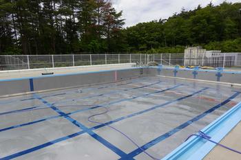 木々に囲まれ白いフェンスで仕切られている、綺麗になったプールの中を写した写真