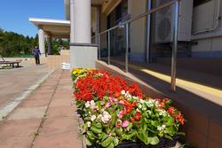 手すりの下にプランターに入った赤や白、黄色の花が飾られている写真