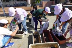 子ども達が袋に入った土を協力しながらプランターに入れている写真