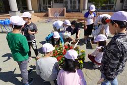 子どもたちが、帽子をかぶってプランターの周りに集まり、色とりどりの花を植えている様子の写真