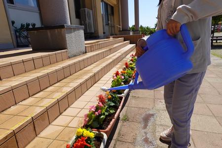 階段の下に横一列に並んだプランターの花にジョウロで水やりをする様子の写真