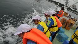 オレンジや黄色のライフジャケットを着用した複数の小学生たちが、船の甲板から水面をのぞきこんでいる、洋上見学の様子の写真