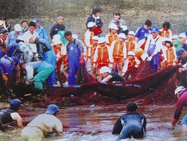 オレンジ色のジャージ姿の子供たちが、大勢の大人が集まって地引き網を行っている様子を見ている写真