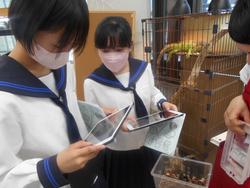 爬虫類が入ったケージの前で、2人の女子生徒が手に持ったタブレットを見ている写真