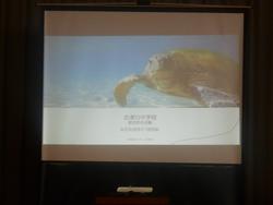 ウミガメの画像が映し出されているスクリーンの写真