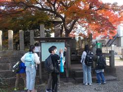 紅葉の木の下で児童たちが案内板を見ながら見学している写真