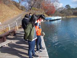 湖の桟橋の上で、水面をのぞき込んでいる児童たちの様子の写真