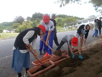 赤白帽子を被った児童たちがスコップを使いプランターに土を入れている様子を写した写真