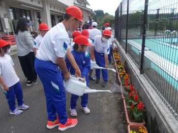 プールの横に並べられた、赤や黄色の花が植えられたたくさんのプランターに水やりをしている児童たちの写真