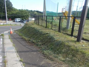 校庭の柵の周りの草が刈られた後の写真