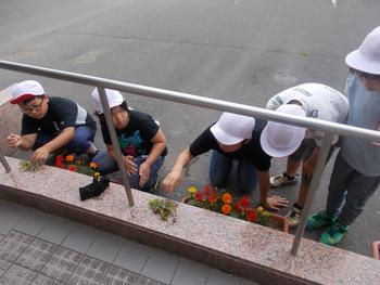 白い帽子を被った児童がプランターの草取りをしている様子を上から写した写真