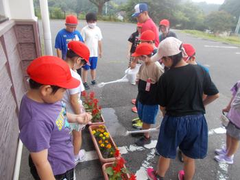 赤白帽子を被った児童たちがプランターに水やりをしている写真