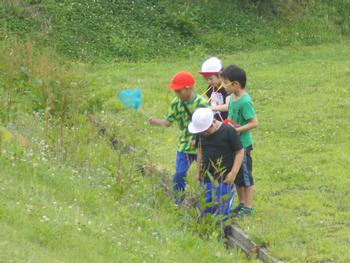 男子児童4人が網を持ちながら草むらで虫を探している写真