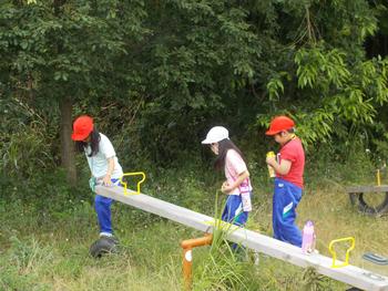 2名の女子と1名の男子児童が、シーソーの後ろの草むらを虫を探しながら歩いている写真