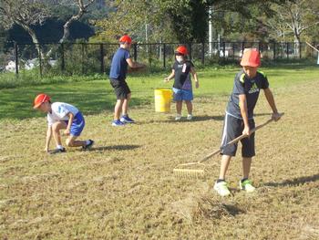 高学年の男の子がレーキで草を集め、低学年の子供たちは草をバケツに運んでいる写真