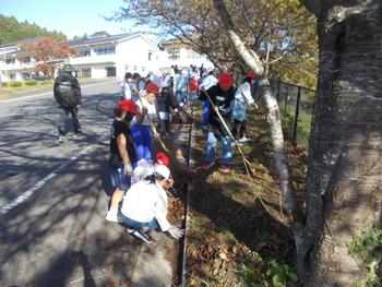 校門の近くの樹木の下の落ち葉をかき集めている生徒たちの写真