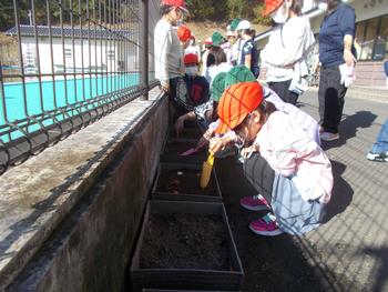 並べられたプランターにスコップを使いながら球根を植えるため、1列に並んでしゃがみこんでいる様子を写した写真