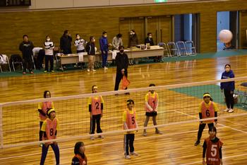 奥がオレンジのビブス、手前が赤いビブス姿の選手がネットの上にあがったボールを見ているミニバレーボール大会の写真