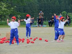 赤い帽子をかぶった児童たちが数人、青いジャージの体操服姿で地面にたくさん落ちた赤い玉の周りに立っている玉入れでの写真