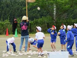 白い帽子をかぶった児童たちが、地面に散らばった白い玉を拾い、大人が支えている籠の中に向かって一斉に投げ入れている様子を写した写真