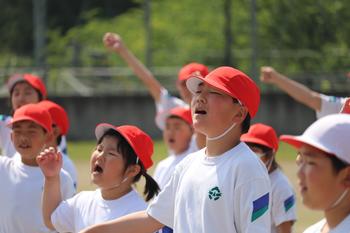 赤い帽子を被った児童達が大声で応援をしている様子を写した運動会総練習での写真