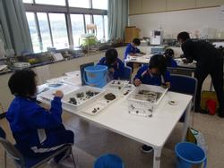 青い体操着を着た子どもたちが、室内の大きな白いテーブルの下に青いバケツを置き、テーブルの上に並べたトレイに入れた川や土の中の生き物を観察している様子の写真