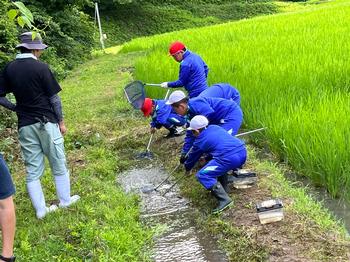ジャージ姿の子供たちが田んぼ横の用水路で網を使い虫取りを楽しんでいる写真