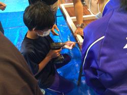 生徒たちが電動ドリルを使って木枠を作成している様子の写真