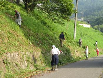 数名の人々が道路沿いの土手に生えている草を、刈払機を使って草刈りしている様子を写した写真