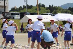 運動場の中央で白い帽子をかぶり、白いTシャツと青い短パンの体操服姿で、中央に立っている高い棒の先に付いたカゴに向かって、白い玉を次々に投げ上げている児童たちの写真