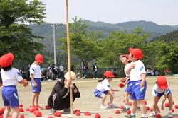赤い玉と赤い帽子のチームの児童たちが玉を拾って投げる動作をしており、いくつかの玉は地面に散らばっている玉入れの写真
