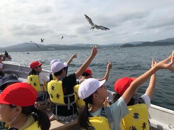 黄色のライフジャケットを着用した子供たちがボートの上からカモメに餌をあげている様子を写した写真