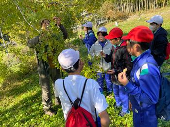 木の下で赤や白の帽子をかぶった小学生たちが、地域の方から植物の説明を受けながら木の実を観察し、実際に手に取って体験している様子の写真