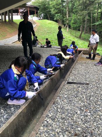 ジャージ姿の子供たちが側溝に1列に並んでしゃがみこみ、軍手で焼き板を手に持っている写真