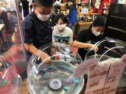 数人の児童たちが透明なドーム型の機械の中で、棒を回しながらふわふわとした綿あめを作っている写真